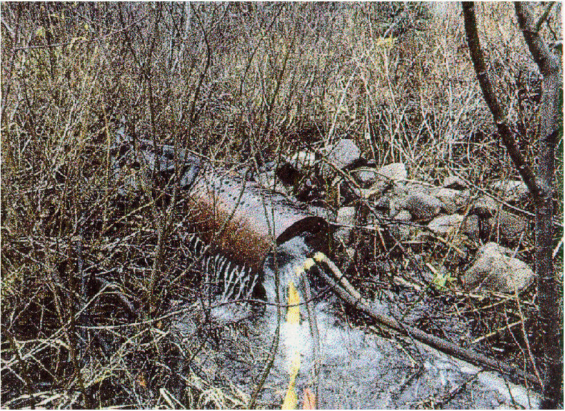 Figure 9-3. Bridge superstructure across reconstructed channel.