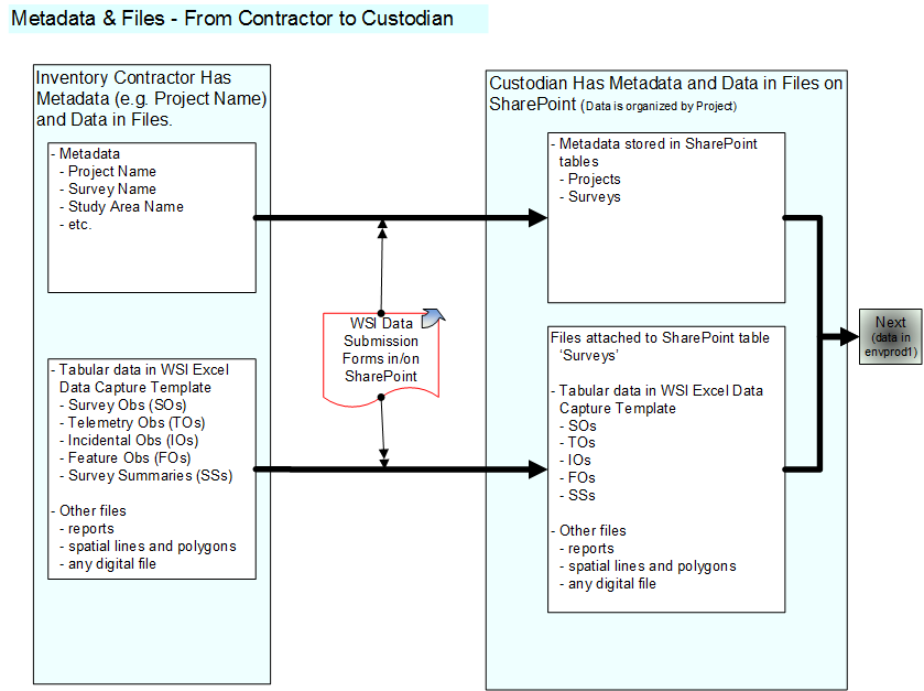 Metadata & Files