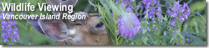 Environmental Stewardship Division