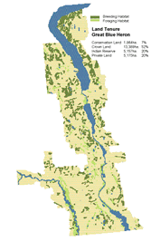 Land Tenure - Great Blue Heron