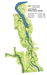 Land Tenure - Prairie Falcon Habitat