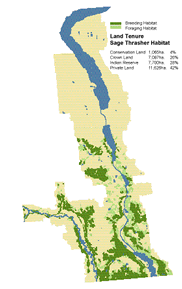 Land Tenure - Sage Thrasher Habitat