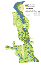 Land Tenure - Pallid Bat Habitat