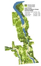 Land Tenure - California Bighorn Sheep  Summer Region