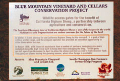 Blue Mountain Vineyard and Cellars Conservation Project