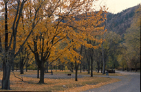 Okanagan Region