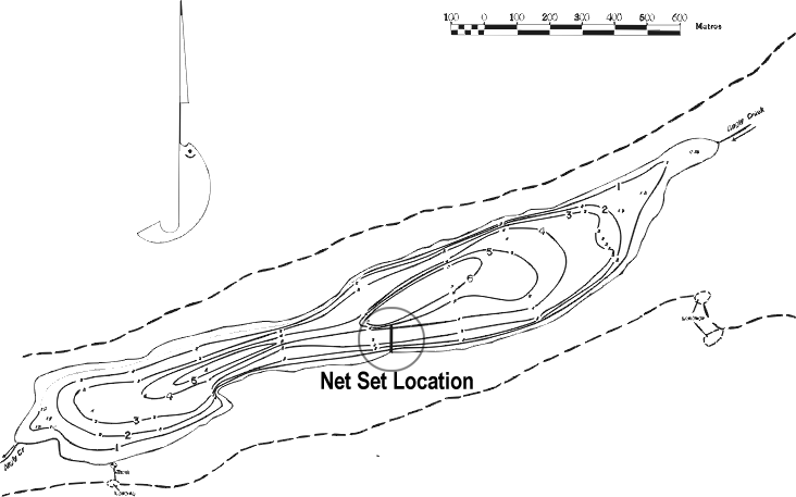 FIGURE 1. Location of Angly Lake gill net sets, August 6, 1999.