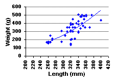 FIGURE 2. Length vs. weight of rainbow trout sampled in Angly Lake, August 6, 1999.
