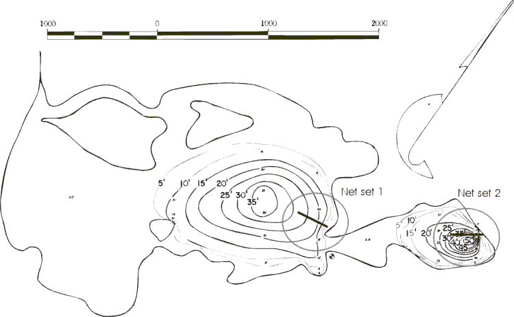 FIGURE 1. Location of Berman Lake gill net sets, July 21 & 22, 1999.