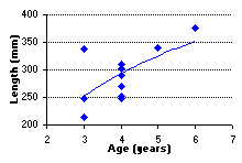 FIGURE 4. Age vs. length of rainbow trout sampled in Berman Lake, July 22 1999.