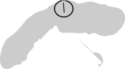 FIGURE 1. Location of Bow Lake gill net set, August 12, 1999.