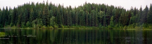 Photo of Butterfly Lake