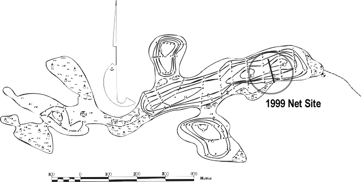 FIGURE 1. Location of Byers Lake gill net set, August 27, 1999