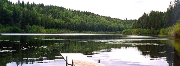 PHOTO 8. Camp Lake. August 11, 1999.