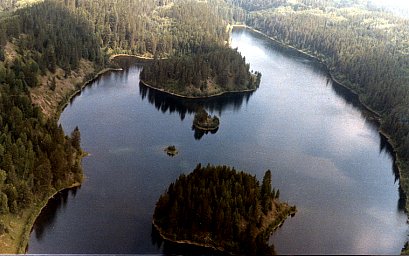 PHOTO 4. Aerial view of east end of Camp Lake. July 16, 1985.