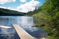 PHOTO 1. View of Camp Lake from boat launch, August 2000.