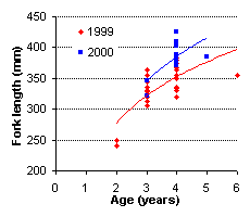 FIGURE 4. Age vs. length of brook trout sampled in Camp Lake, comparing 1999 and 2000 results.