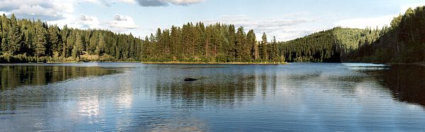 PHOTO 9. Panoramic view of Camp Lake looking east, from the east narrows, 1985.
