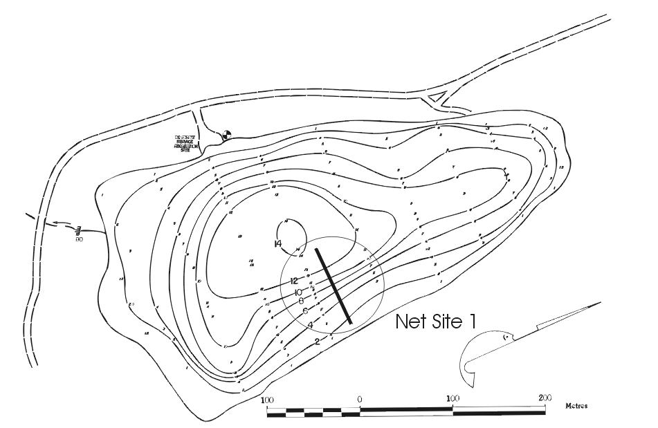 FIGURE 1. Location of Clear Lake Gill Net Set, June 25 1998