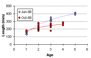FIGURE 4. A comparison of 1988 vs. 1998 Clear Lake rainbow trout growth rates.