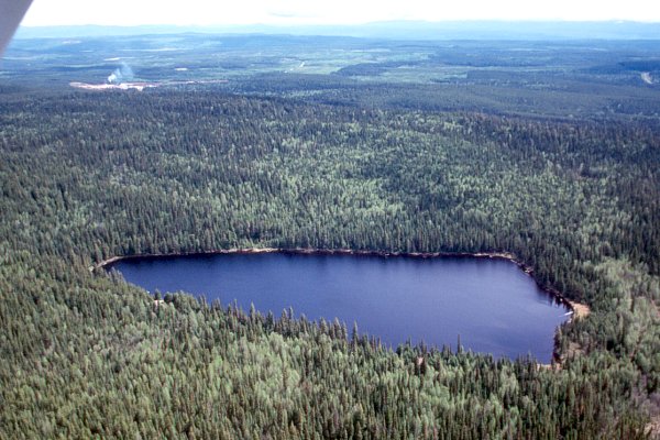 PHOTO 1. Aerial view of Clear Lake, July 2000.