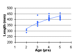 FIGURE 4. Age vs. length of rainbow trout, 1998.