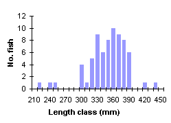 FIGURE 5. Length frequency distribution of brook trout sampled by creel survey, Jan/Feb 1988.