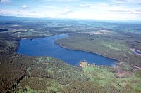 PHOTO 1. Cobb Lake Aerial Photo, 2001.
