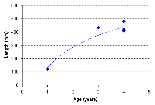 FIGURE 3. Age vs. length of brook trout captured in Ferguson Lake, August 17, 1999.