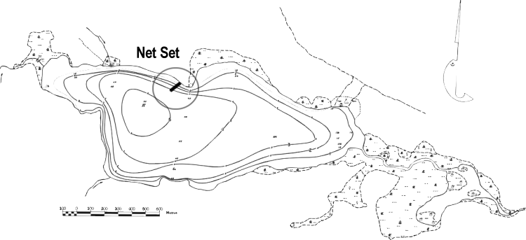 FIGURE 2. Location of Grizzly Lake (West) gill net set, July 19-20, 1999.
