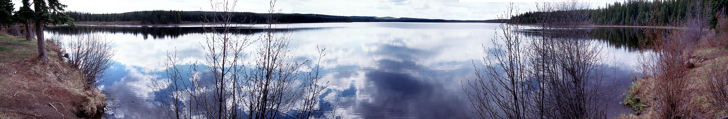 Panoramic view of Grizzly Lake (West) from Recreation Site, May 2000.