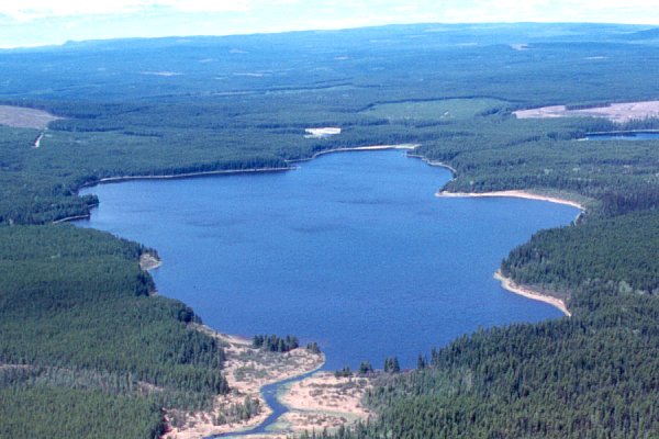 PHOTO 1. Aerial view of Grizzly Lake (West), July 2000.