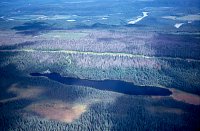 PHOTO 1. Air Photo of La Salle Lake West, July 2000