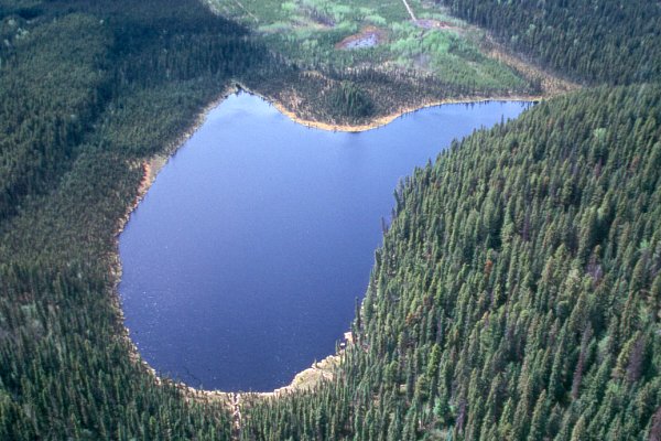 PHOTO 1. Aerial view of Nelson Lake, June 2001.