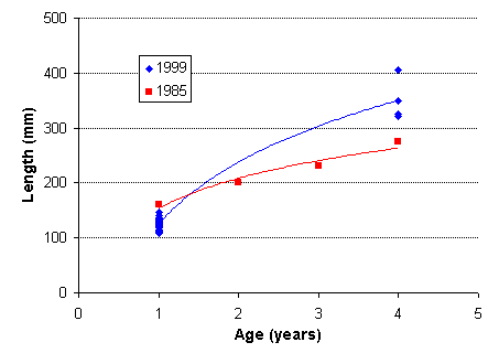 FIGURE 4. Age vs. length of rainbow trout captured in Portal Lake, comparing 1985 and 1999 results.