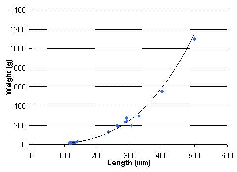 FIGURE 2. Length vs. weight of rainbow trout captured in Sawmill Lake, August 19, 1999