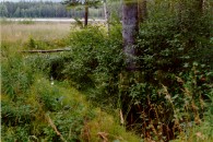 FIGURE 7. Shere Lake outlet, 1997