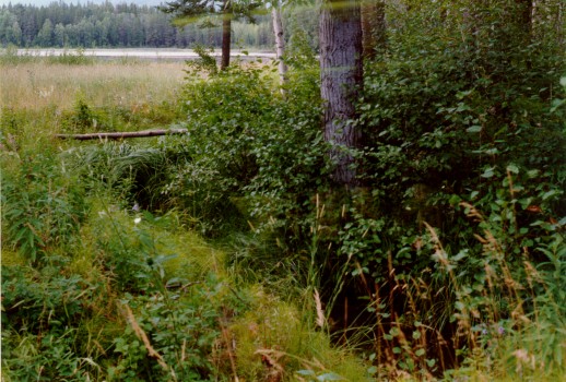 FIGURE 7. Outlet of Shere Lake, 1997.