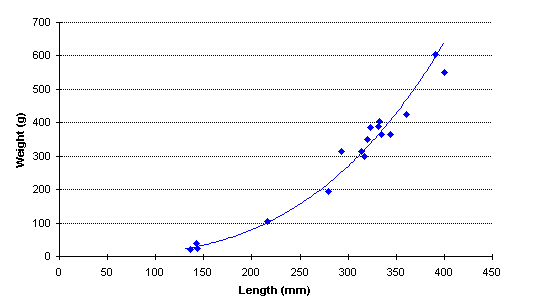 FIGURE 2. Length vs. weight of rainbow trout captured in Tsitniz Lake, June 18, 1998