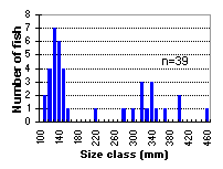 Tsitniz Lake length weight regression