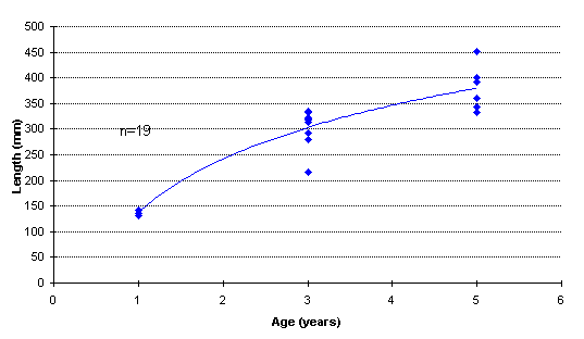 FIGURE 4. Age vs. length of rainbow trout captured in Tsitniz Lake, June 18, 1998