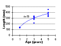 FIGURE 4. Age vs. length of rainbow trout captured in Tsitniz Lake, June 18, 1998