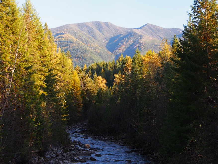 Picture of the Lemon Creek Watershed, British Columbia, Canada.