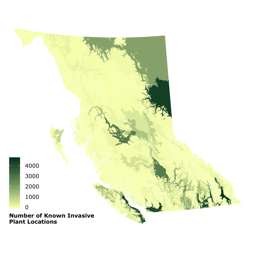 Maps showing the number of known invasive plant locations across B.C.